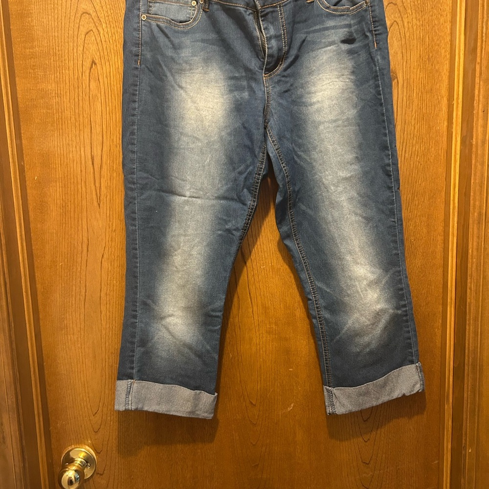 Indigo Rein Blue Cropped Ankle Jeans